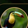 Flora y fauna